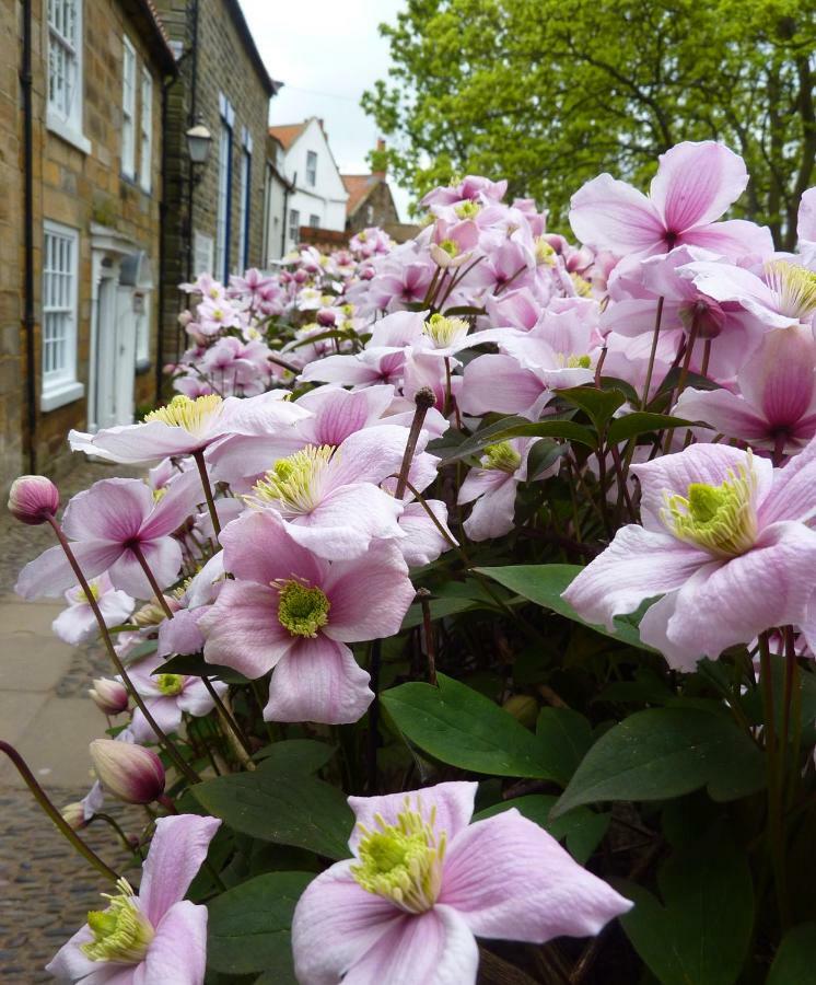 Aldersyde Bed & Breakfast Robin Hood's Bay Kültér fotó
